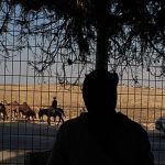Israeli settlers seizing natural springs in the West Bank