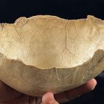 Possible massacre and cannibalism 7,000 years ago uncovered in Granada