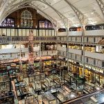 Oxford University museum to return remains of 39 people to India’s Naga community