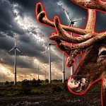 ‘Wind turbines cause animal malformations’: True or false?