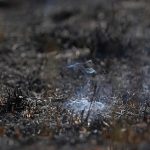 Underground fire: Blaze in German lignite mine cannot be extinguished