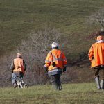 Illegal hunting of protected species trial opens in Orléans against French billionaire Olivier Bouygues