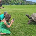 Jonathan the tortoise, the world’s oldest living land animal