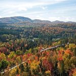 Québec, Kyoto and Wachau Valley: These are the world’s best places to visit for autumn foliage