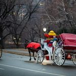 Central Park’s horse-drawn carriages face ban as New York votes to end tourist attraction