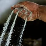 Colombia seizes 7.6 tonnes of Netherlands-bound cocaine at Cartagena port