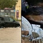 Heavy rain causes widespread flooding in France’s Marseille