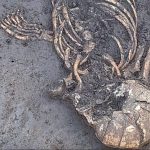 Hidden for 7,000 years: The twisted skeleton baffling German archaeologists
