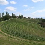 These are the best wine regions in Europe, with Slovenia claiming top spot above France and Italy