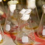Death in Russian lab raises questions over plague pathogen bioweapon research