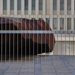 Former BND chief’s aide arrested as Germany’s biggest spy scandal widens