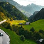 The best road trips to spot Europe’s most impressive wildlife