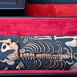 Medieval ruler Tsar Samuel’s remains return home to Bulgaria after 60 years